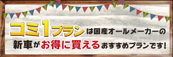 維持費込みで月々一定のお得なプラン